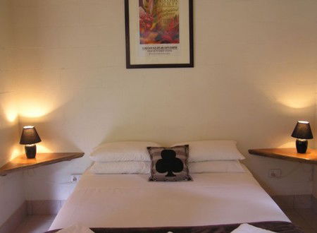 Lync-Haven Rainforest Retreat - Accommodation BNB 2