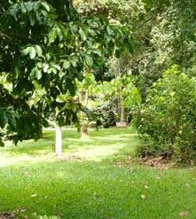 Julatten QLD Accommodation BNB