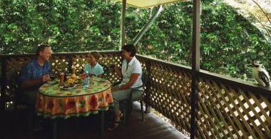 Chambers Wildlife Rainforest Lodges - Accommodation BNB 4