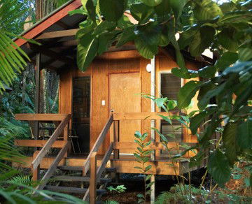 Cape Trib Beach House YHA - Accommodation BNB 4