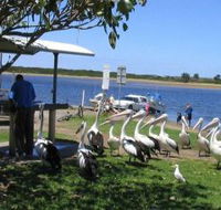 Mountain View Caravan and Mobile Home Village - Accommodation BNB