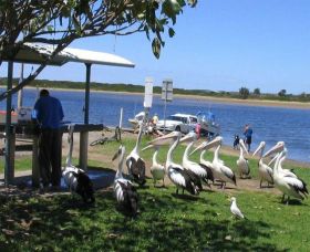 Mountain View Caravan And Mobile Home Village - Accommodation BNB 0