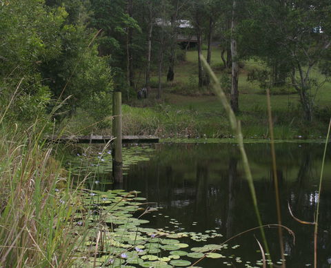 Maleny Country Cottages - Accommodation BNB 4