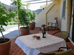 A View Of Mt Warning Bed And Breakfast - Accommodation BNB 2
