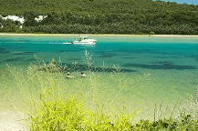 Wooli Camping and Caravan Park - Accommodation BNB