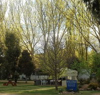 Snowy River Holiday Park - Accommodation BNB