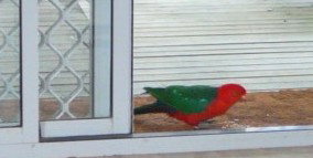 Azalea Cottage - Accommodation BNB 5