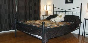 Artisans ...on The Hill Bed And Breakfast - Accommodation BNB 2