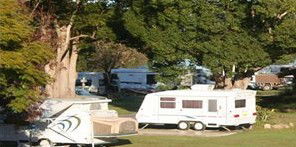 Bellinger River Tourist Park - Accommodation BNB 3
