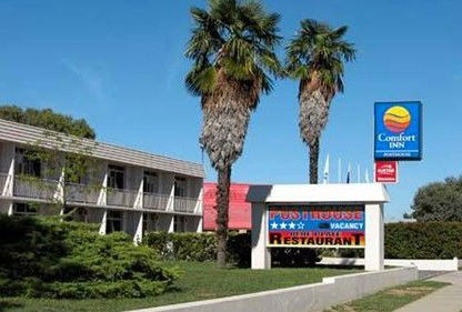 Comfort Inn Posthouse - Accommodation BNB 0