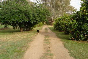Murray Bank Holiday Units And Yabby Farm - Accommodation BNB 5