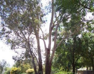 The Church House B And B - Accommodation BNB 0