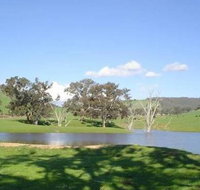 Hillview Farmstay - Accommodation BNB