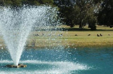 Howlong Country Golf Club & Motel - Accommodation BNB 5