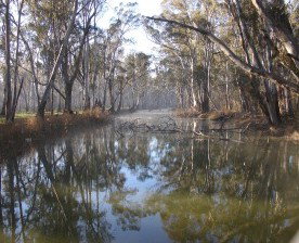 Gulpa Retreat Tourist Park - Accommodation BNB 2
