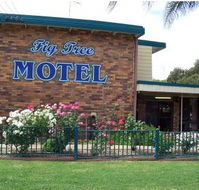 Fig Tree Motel - Accommodation BNB