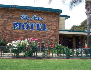 Fig Tree Motel - Accommodation BNB 0