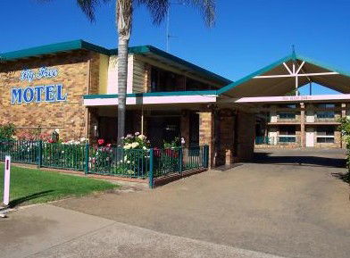 Fig Tree Motel - Accommodation BNB 1