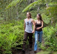 Blackheath Glen Tourist Park - Accommodation BNB