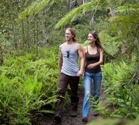 Blackheath Glen Tourist Park - Accommodation BNB 0