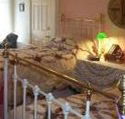 A Winter-Rose Cottage Bed and Breakfast - Accommodation BNB