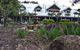 Girraween Country Inn - thumb 4