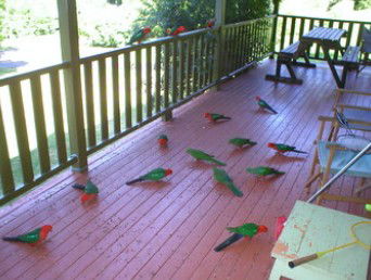 A Little Bit Of Heaven - Holiday Home - Accommodation BNB 8