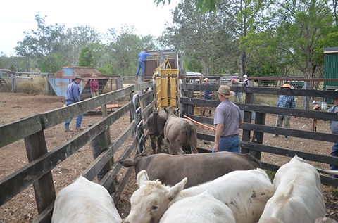 Lee Farmstay - Accommodation BNB 7
