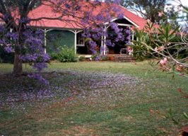 Minmore Farmstay Bed And Breakfast - Accommodation BNB 0