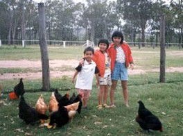 Minmore Farmstay Bed And Breakfast - Accommodation BNB 1