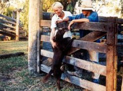 Minmore Farmstay Bed And Breakfast - Accommodation BNB 2