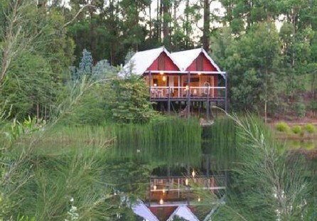 Cloudlake Mountain Retreat - Accommodation BNB 5