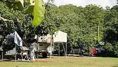 Lilyponds Holiday Park - Accommodation BNB 4