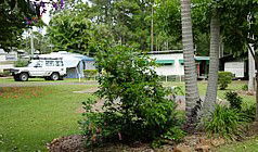 Lilyponds Holiday Park - Accommodation BNB 5