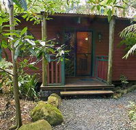 Springbrook Lyrebird Retreat - Accommodation BNB