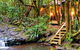 The Mouses House - Rainforest Retreat - thumb 0