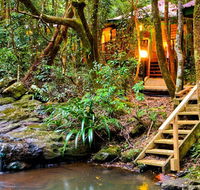 The Mouses House - Rainforest Retreat - Accommodation BNB