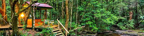 The Mouses House - Rainforest Retreat - Accommodation BNB 3