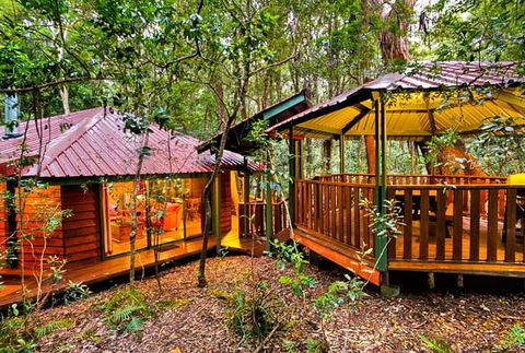 The Mouses House - Rainforest Retreat - Accommodation BNB 4
