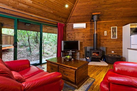 The Mouses House - Rainforest Retreat - Accommodation BNB 5