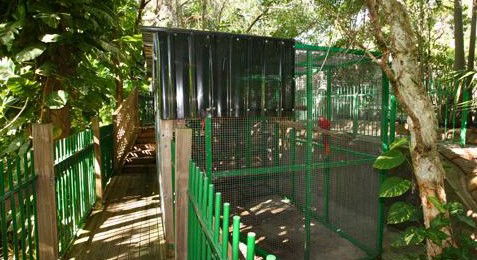 Ashmore Palms Holiday Village - Accommodation BNB 3