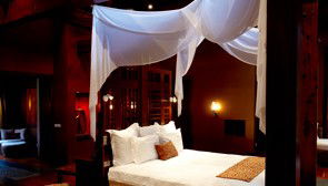Gwinganna Lifestyle Retreat - Accommodation BNB 3