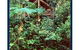 The Canopy Treehouses - thumb 1