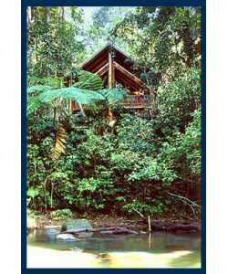 The Canopy Treehouses - Accommodation BNB 1