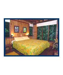 The Canopy Treehouses - Accommodation BNB 3