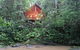 The Canopy Treehouses - thumb 5