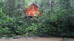 The Canopy Treehouses - Accommodation BNB 5