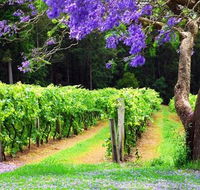 Bago Vineyards - Accommodation BNB