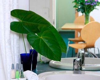 The Point Brisbane - Accommodation BNB 2