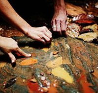 Daintree Eco Lodge And Spa - Accommodation BNB
